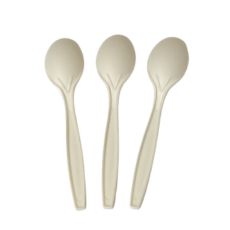 Compostable Spoons 1000/case - Van Leeuwen